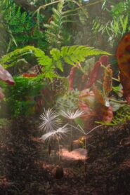 Dandelion’s Odyssey