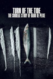Turn of the Tide: The Surreal Story of Rabo de Peixe