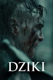 Dziki