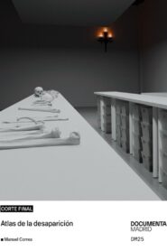 Atlas of Disappearance